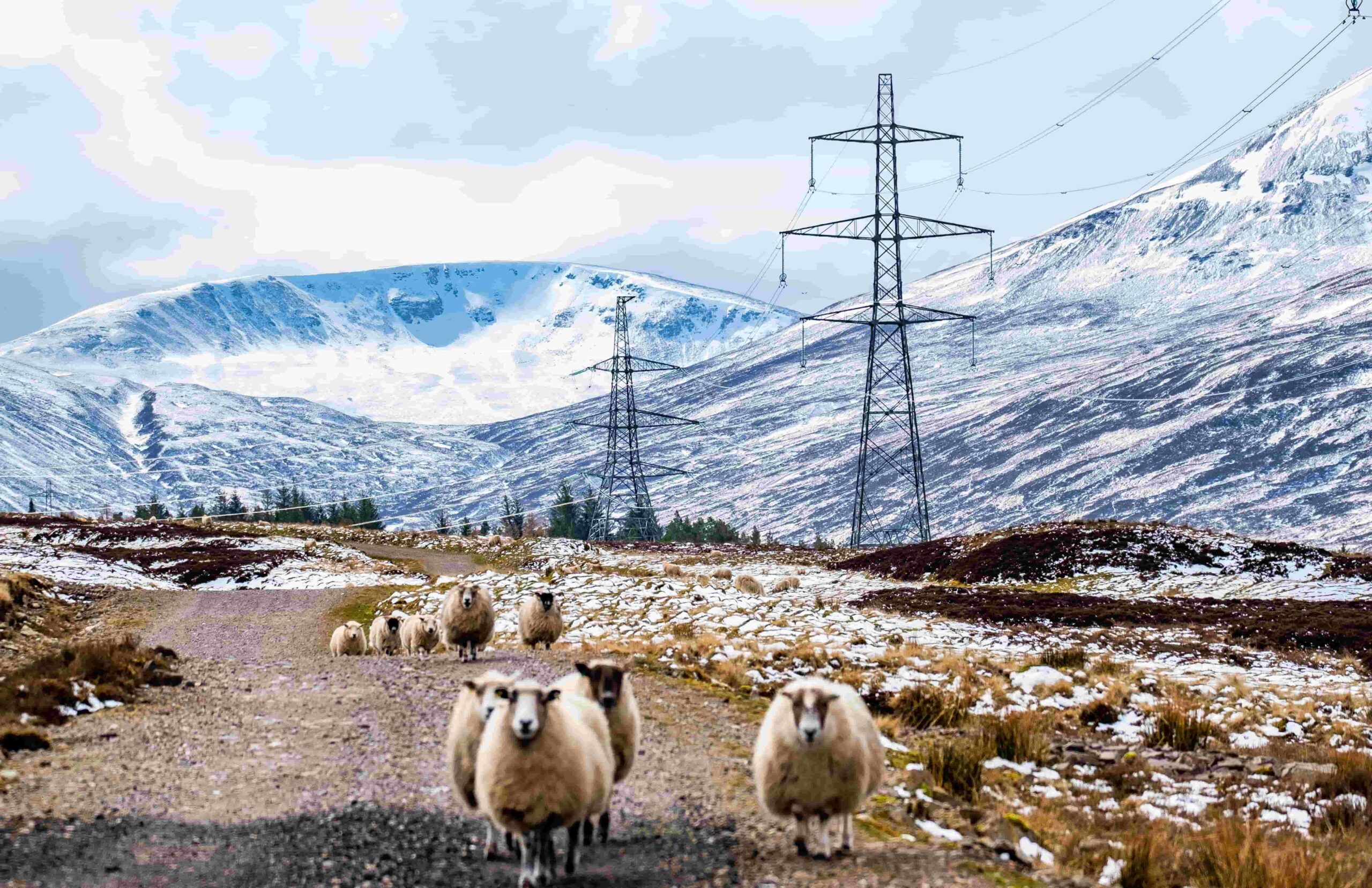 Weather modelling aims to unlock transmission capacity