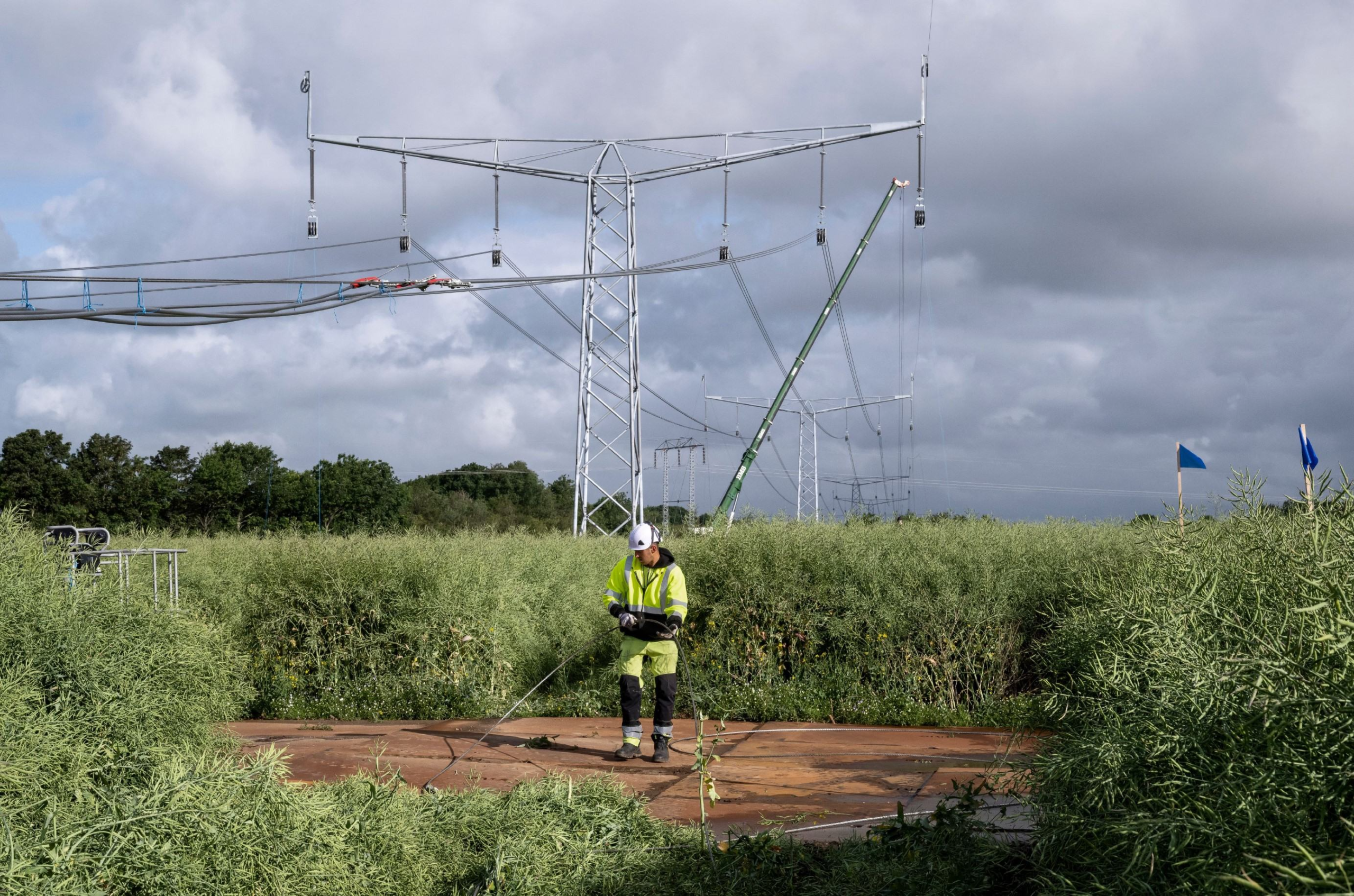 Energinet pauses new Danish grid connections