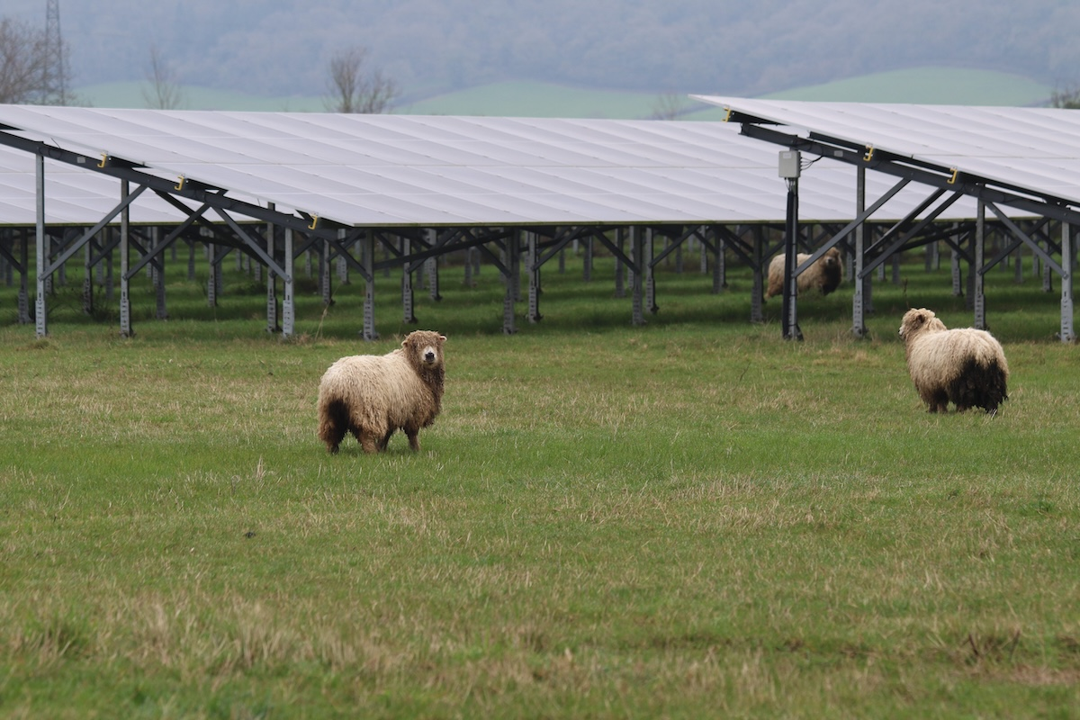 BSR secures £130m financing for solar-storage growth
