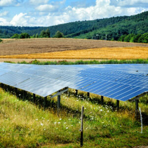 Grimsby solar farm reaches commercial operation