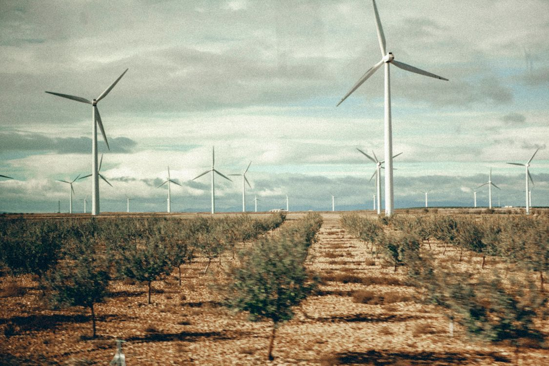 European Energy wins German wind support