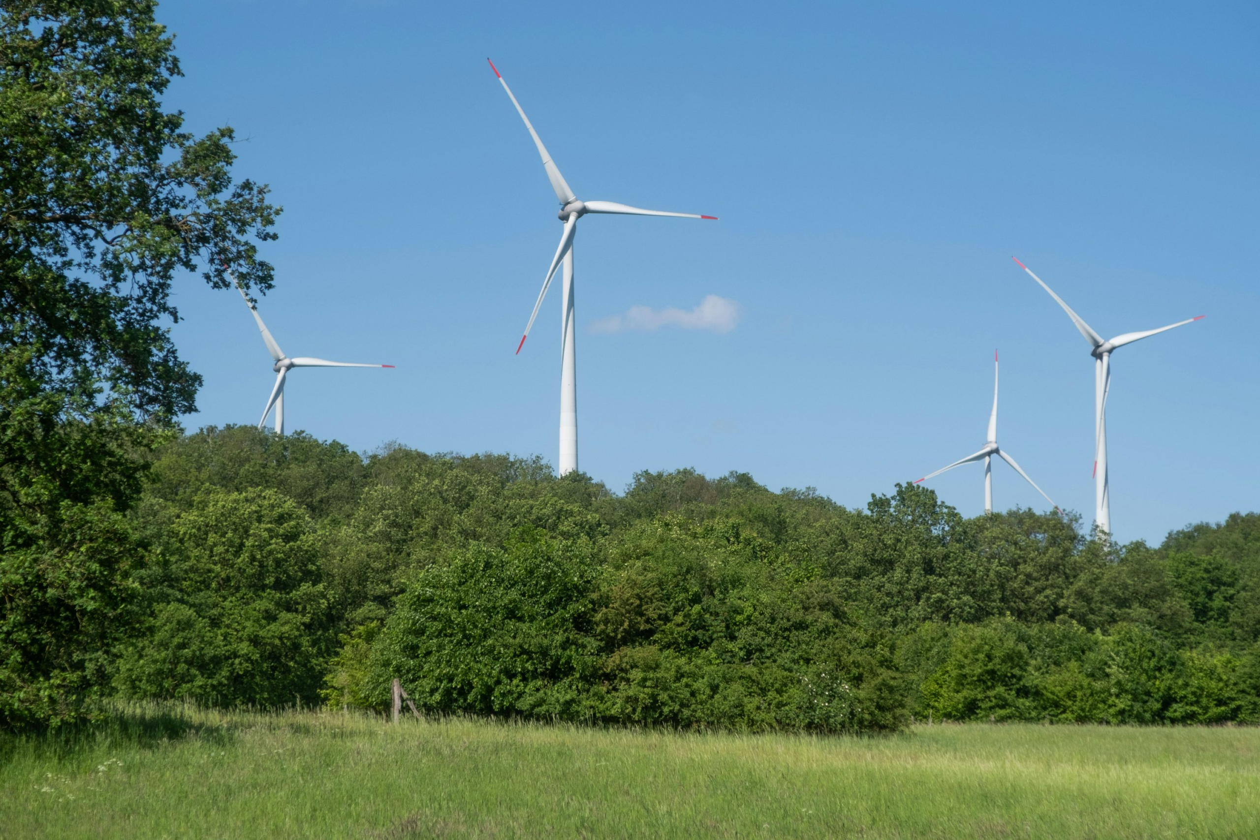 RWE secures 119MW in German wind auction RWE secures 119MW in German wind auction