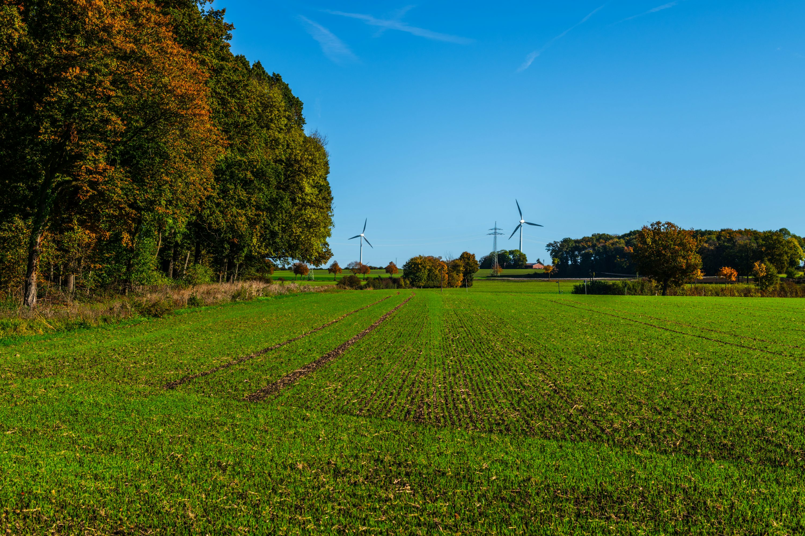 Airengy signs €13.5m Polish wind acquisition offer